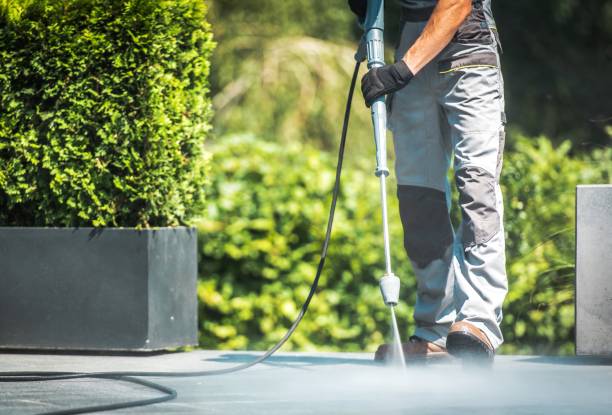 Window and Screen Pressure Cleaning